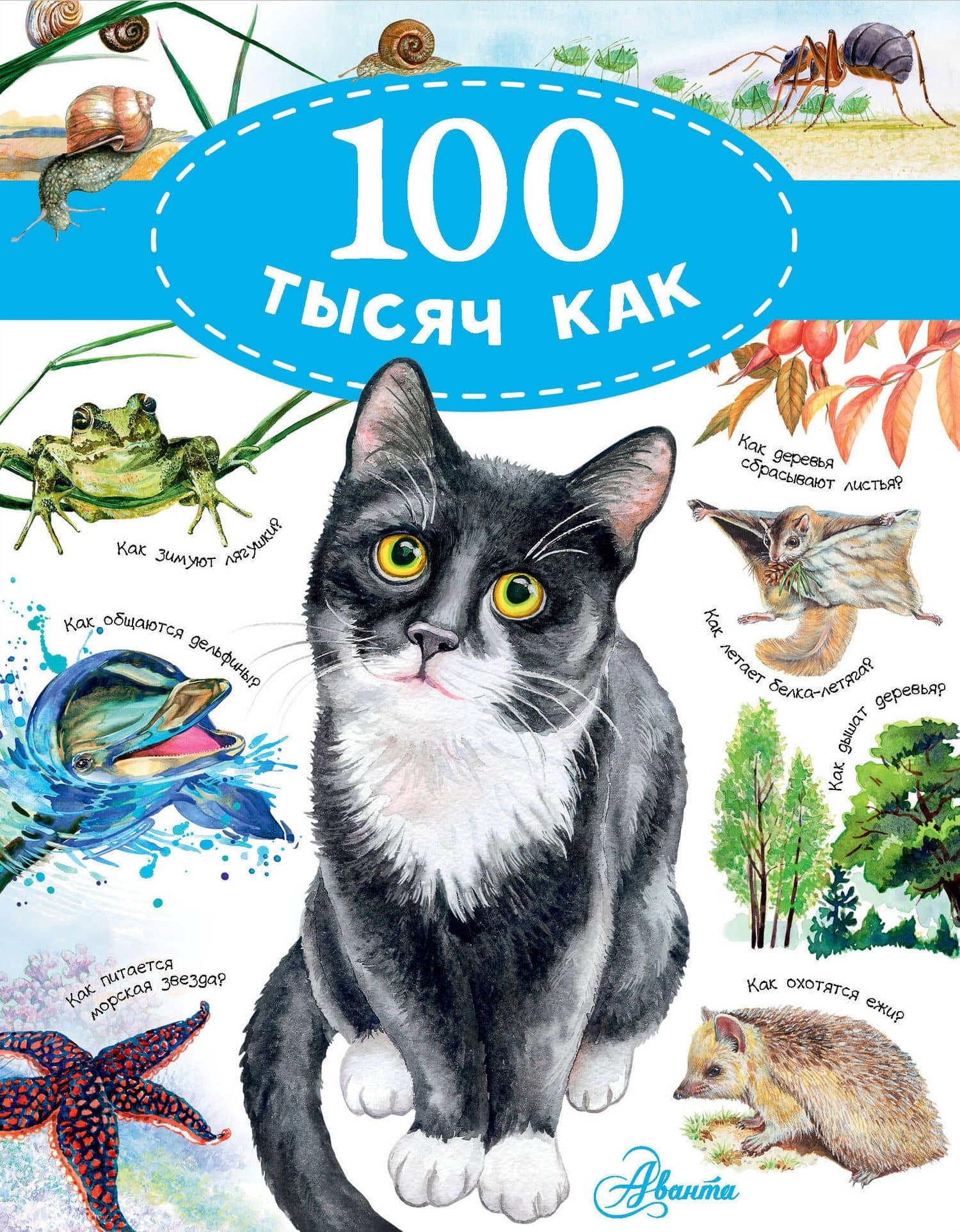 100 тысяч как — Павел Владимирович Бобков