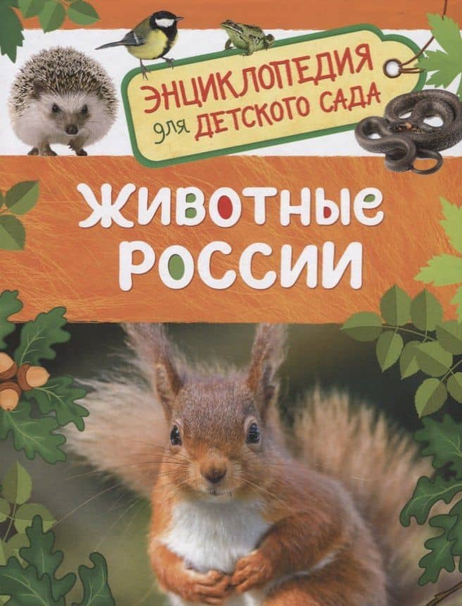 Животные России. Энциклопедия для детского сада — Ирина Владимировна Травина