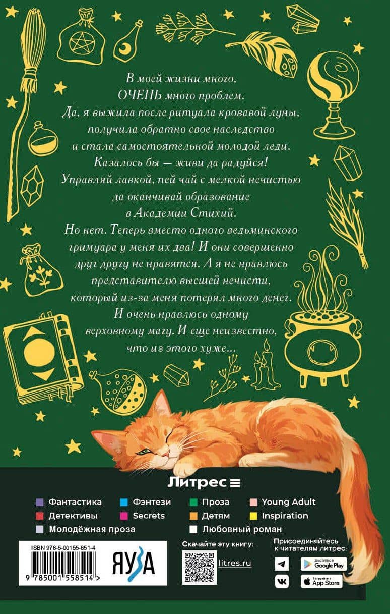 Хозяйка магической лавки. Книга 3 — Александра Черчень (2)