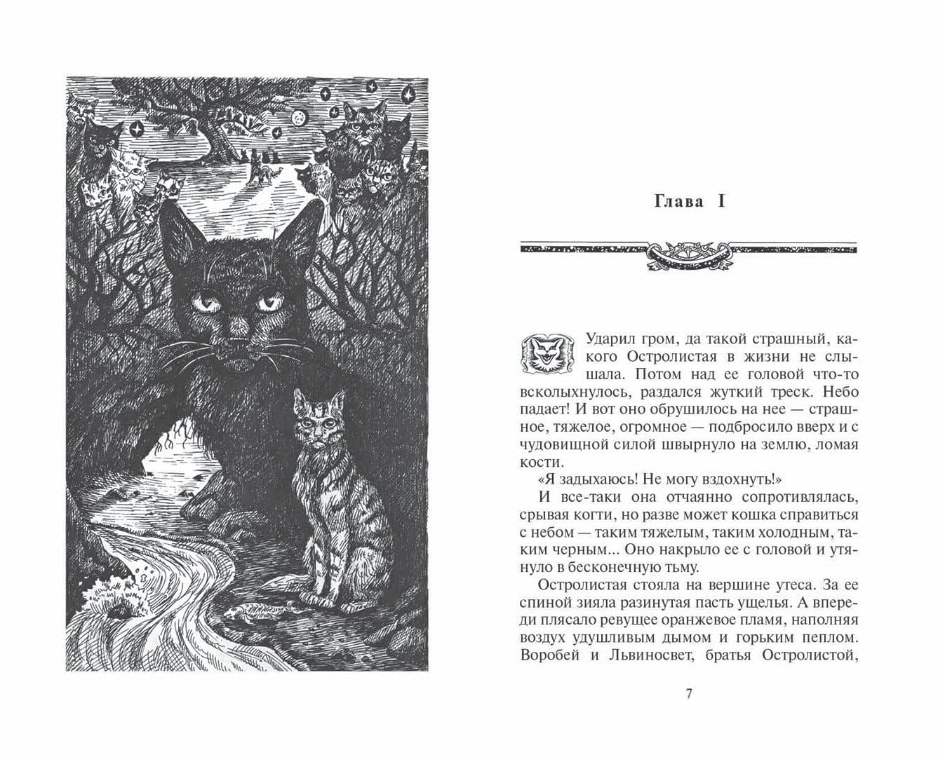 Нерассказанные истории. История Остролистой. Сборник — Эрин Хантер (2)