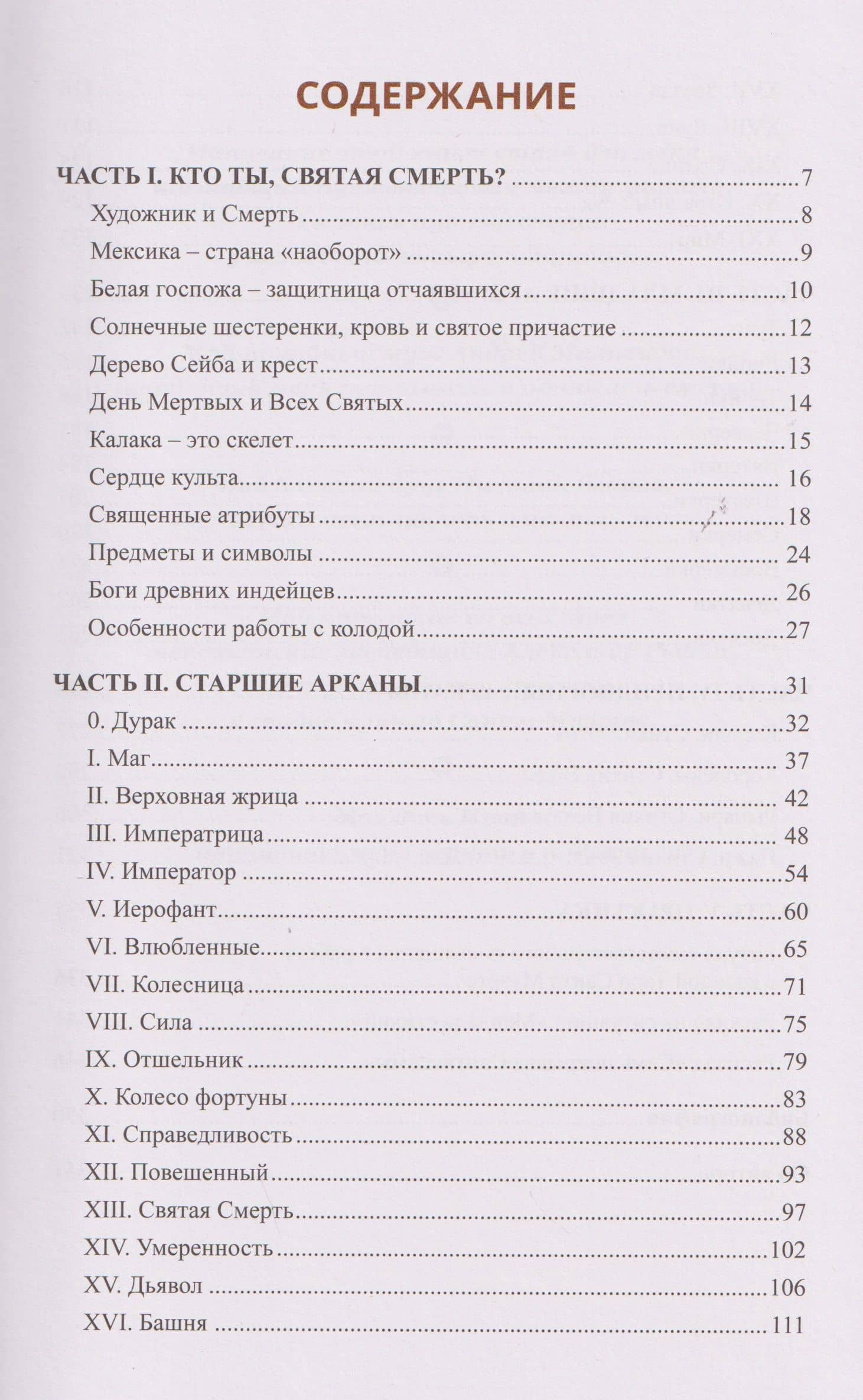Карнавал жизни и смерти. Книга по Таро Санта Муэрте Святой смерти — Татьяна Александровна Миловидова (3)