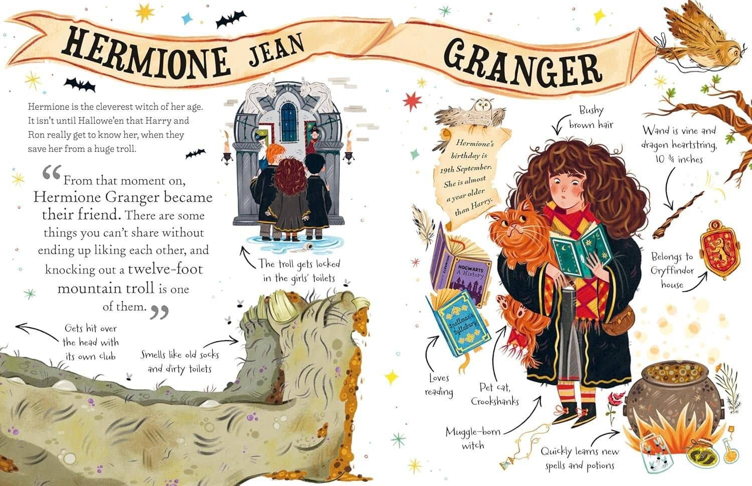 Hermione Granger Pocket Potters series (J.K.Rowling) Гермиона Грейнджер серия карманный Поттер (Дж.К. Роулинг) /Книги на английском языке — Джоан Роулинг (3)