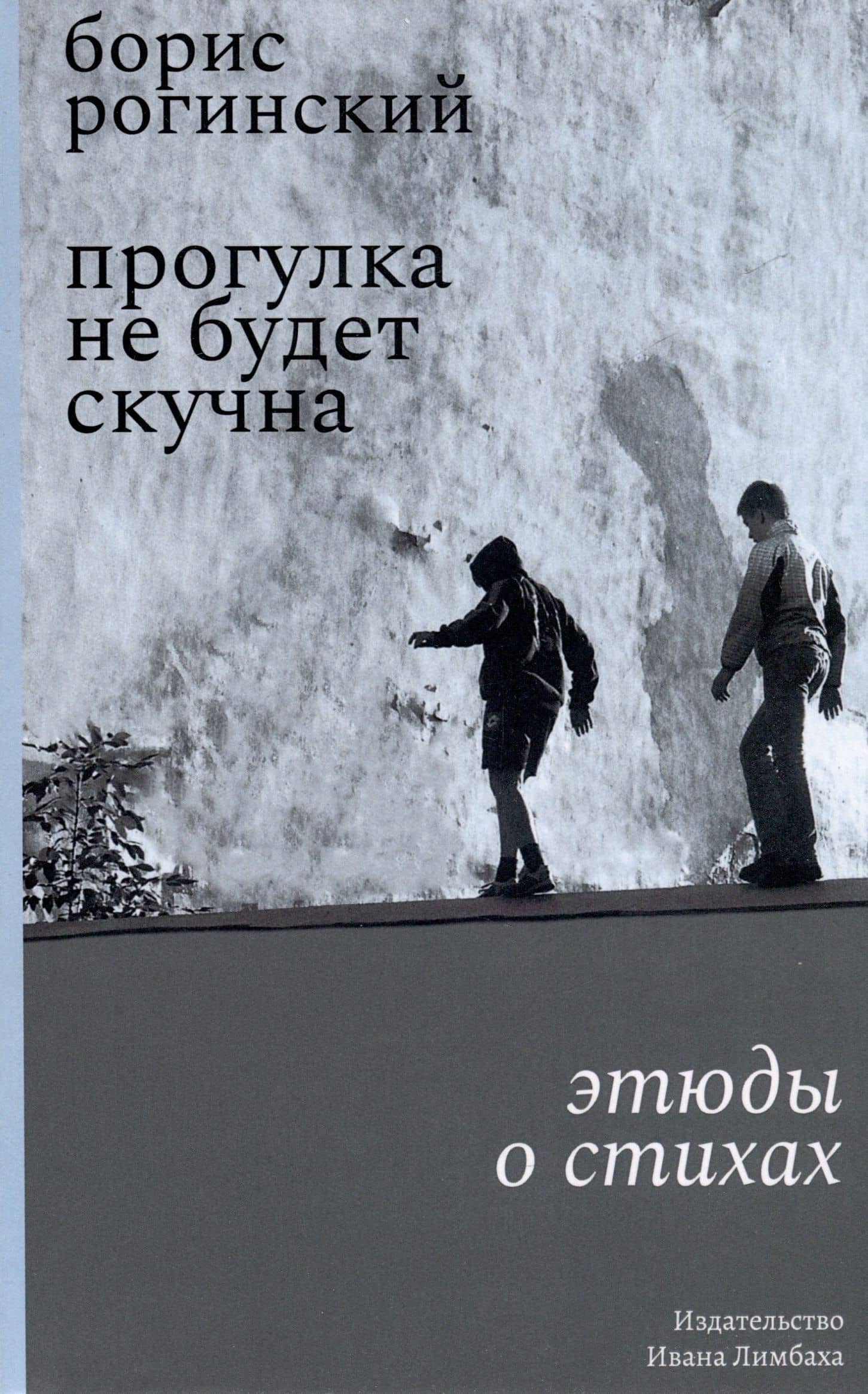 Прогулка не будет скучна. Этюды о стихах — Борис Рогинский
