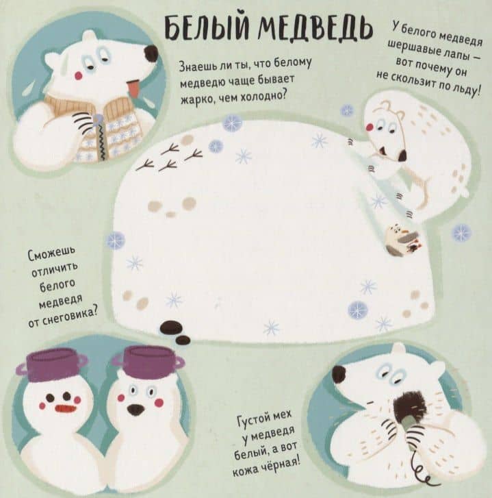 Весёлые прятки — Сильвие Санца (2)