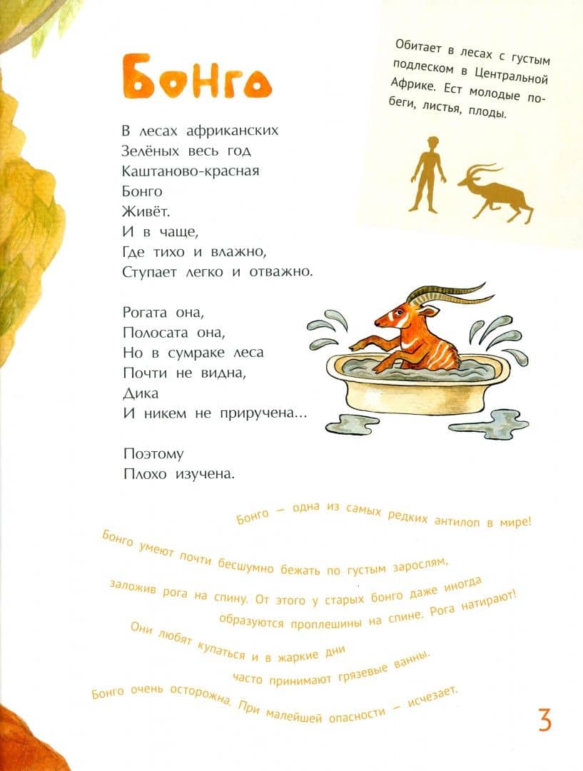 Необыкновенные звери — Дарья Сергеевна Герасимова (3)