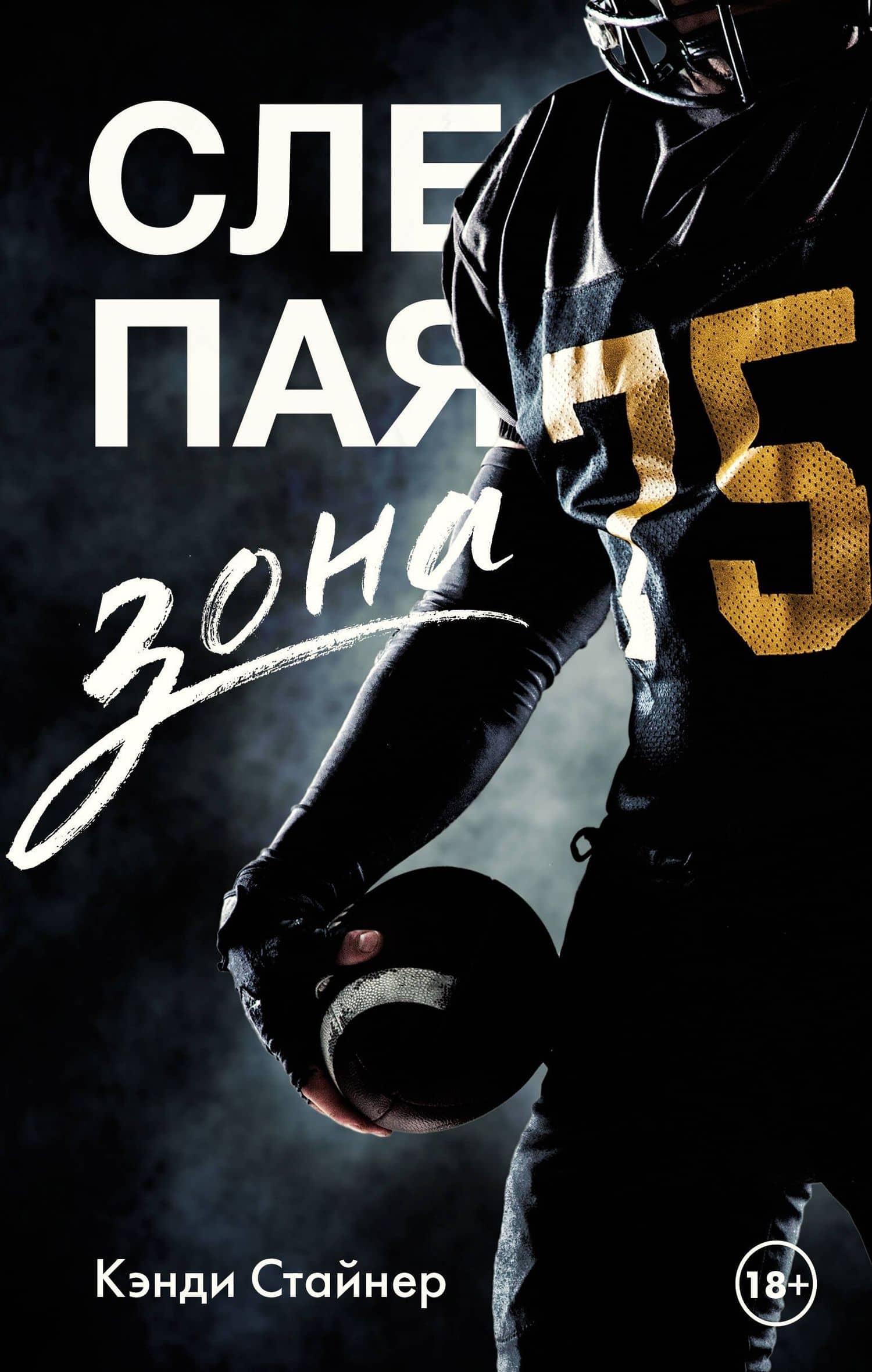 Слепая зона — Кэнди Стайнер