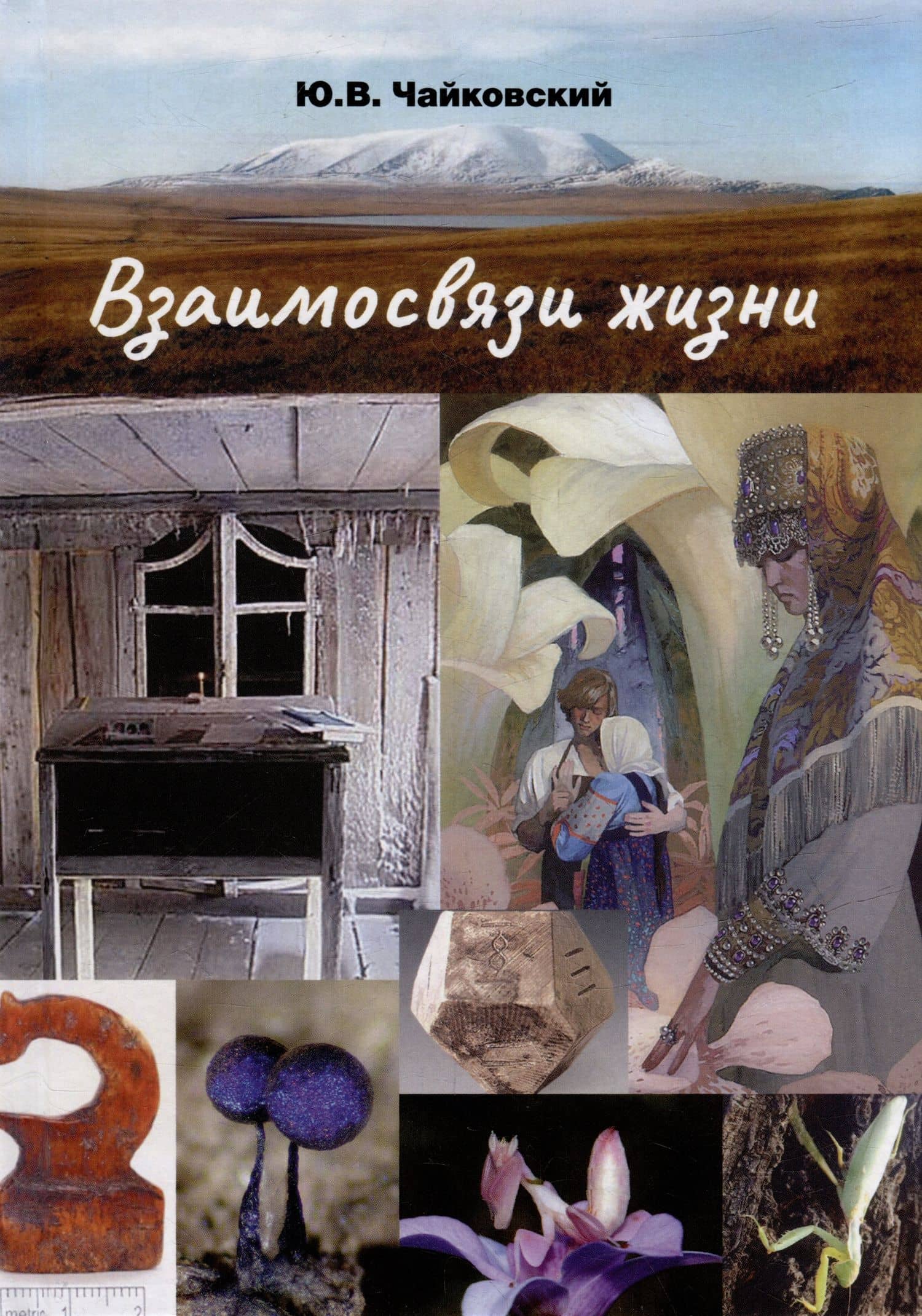 Взаимосвязи жизни. Миниэнциклопедия дополняет. Том 2. Р–Я и добавочные сведения — Юрий Викторович Чайковский