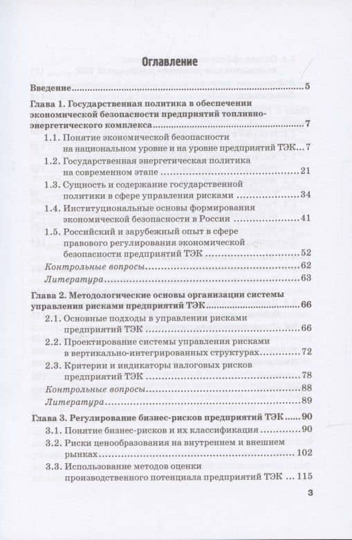 Экономическая безопасность и бизнес-риски предприятий топливно-энергетического комплекса. Учебное пособие — Наталия Евгеньевна Лебедева (2)