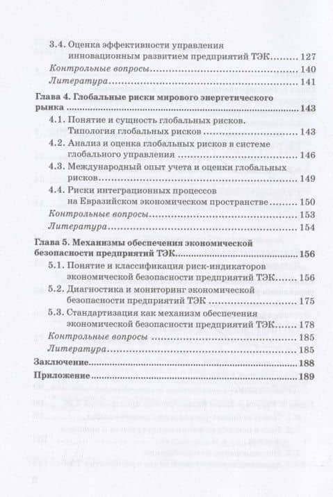 Экономическая безопасность и бизнес-риски предприятий топливно-энергетического комплекса. Учебное пособие — Наталия Евгеньевна Лебедева (3)