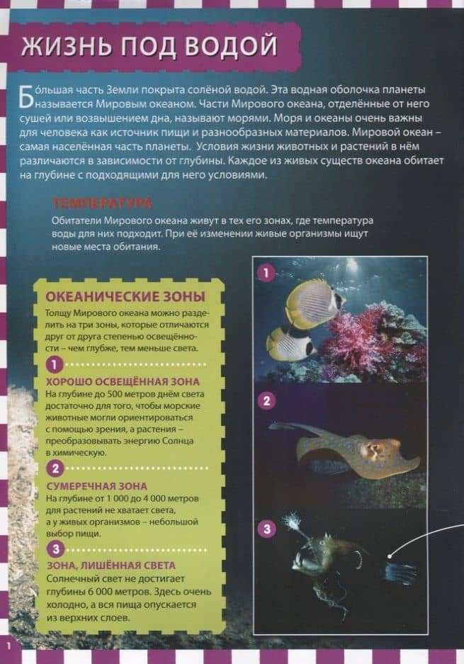 Подводный мир (2)