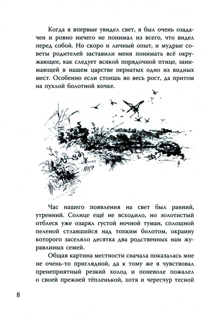 С Севера на Юг. Путевые воспоминания старого журавля — Николай Николаевич Каразин (3)