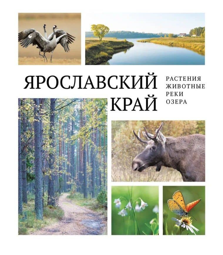 Ярославский край: растения и животные, реки и озера — Горошников В.В.