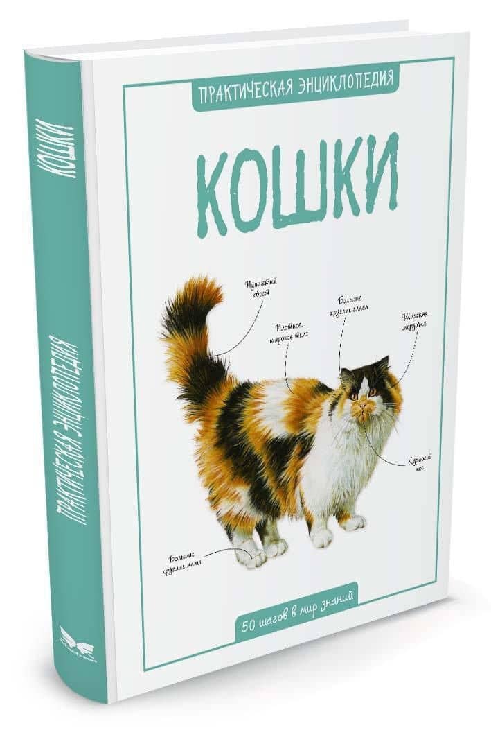 Кошки — Камилла де ла Бедуайер (2)