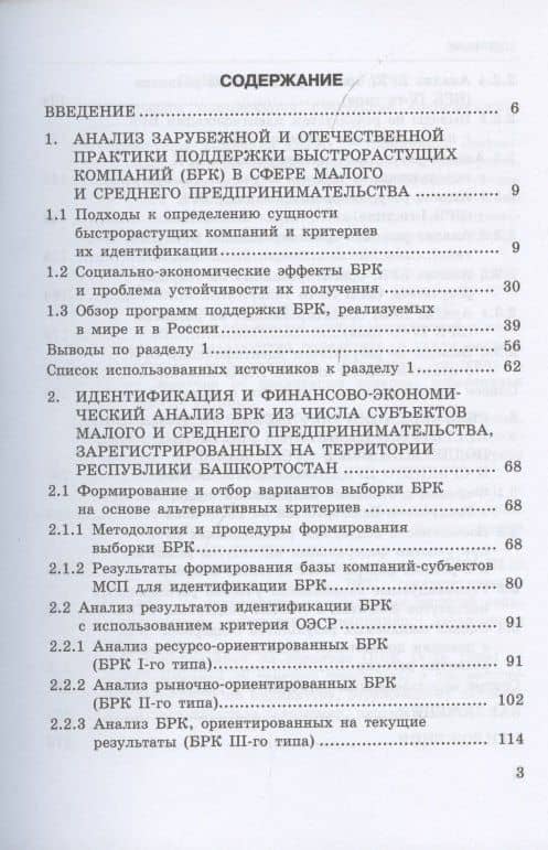 Исследование феномена быстрорастущих компаний Респ.Башкортостан на примере субъектов малого и среднего предпринимательства — Илья Игоревич Белолипцев (2)