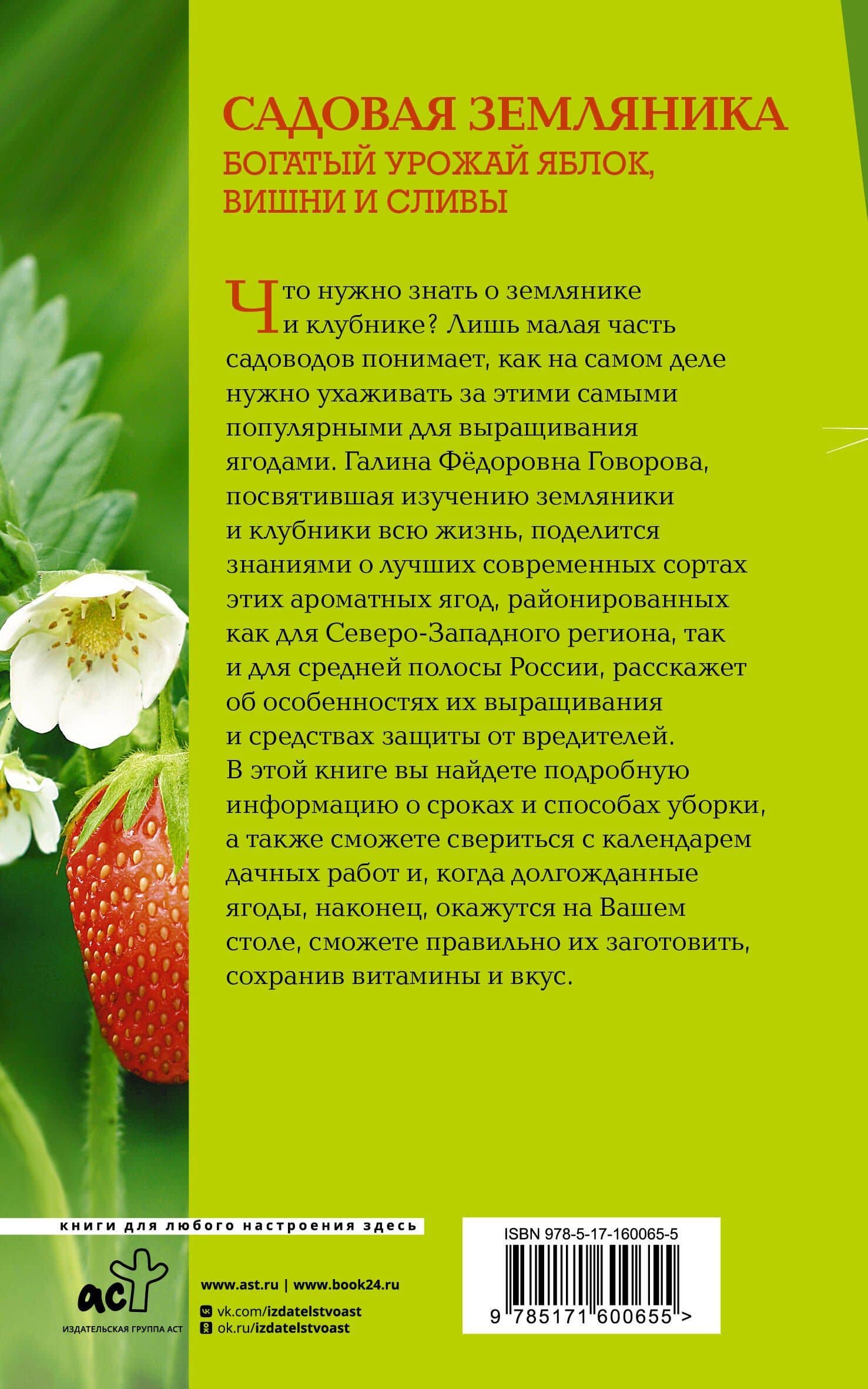 Земляника и клубника. Все знания в одной книге — Дмитрий Николаевич Говоров (2)