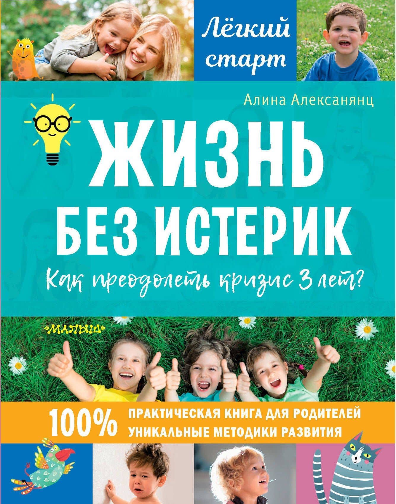 Жизнь без истерик. Как преодолеть кризис 3 лет? — Анна Геннадьевна Алексанянц