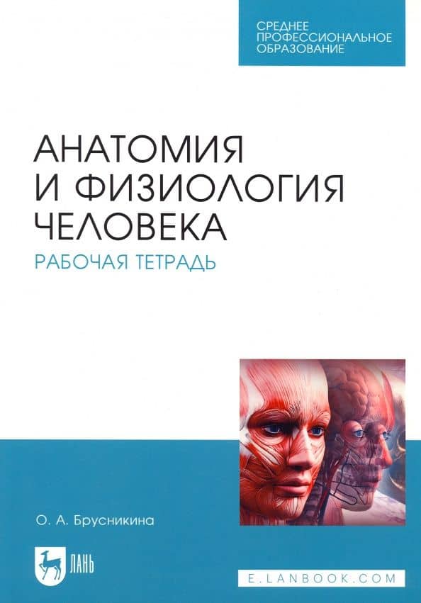 Анатомия и физиология человека. Рабочая тетрадь — Ольга Алексеевна Брусникина