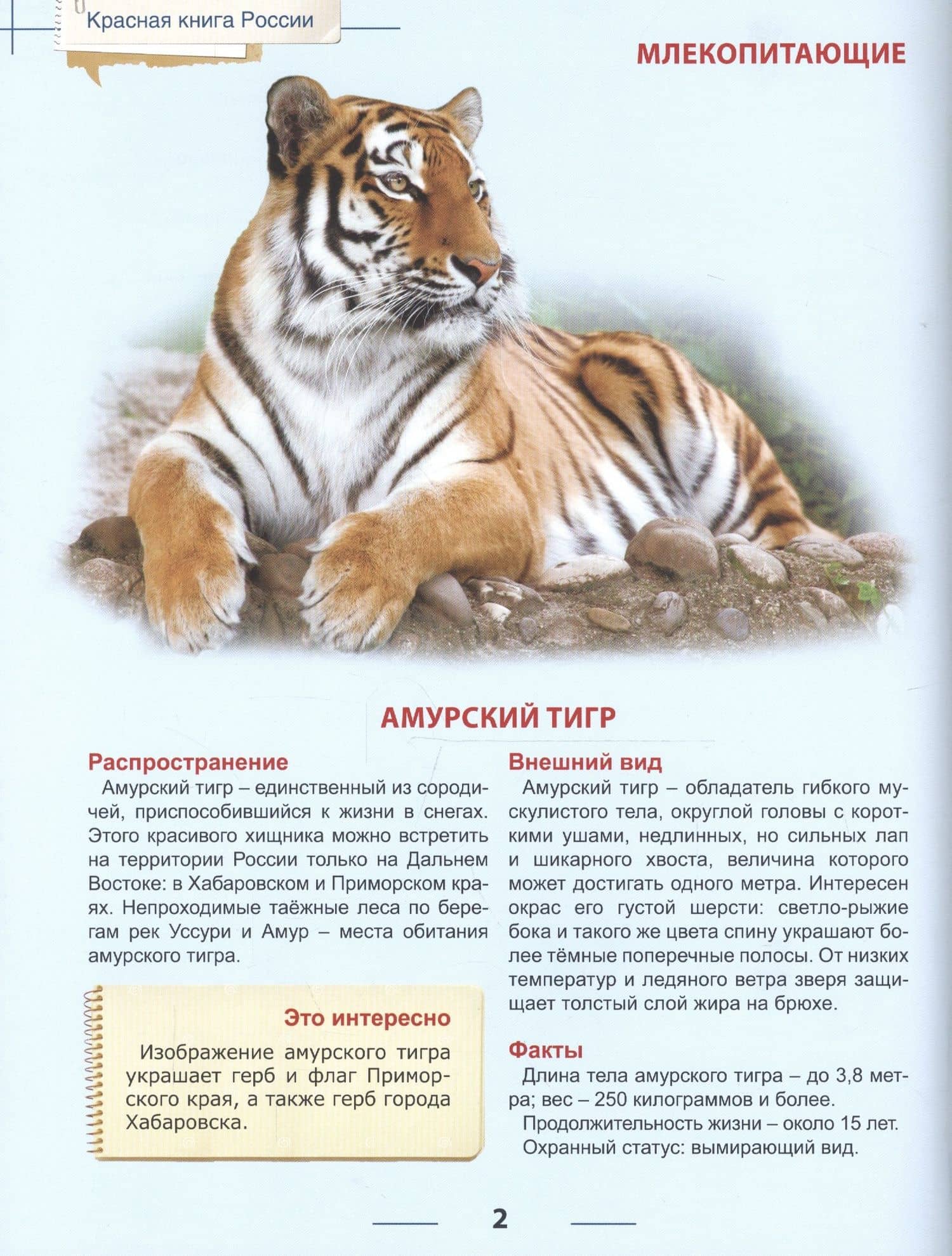 Энциклопедия для детей красная книга россии — Людмила Соколова (3)