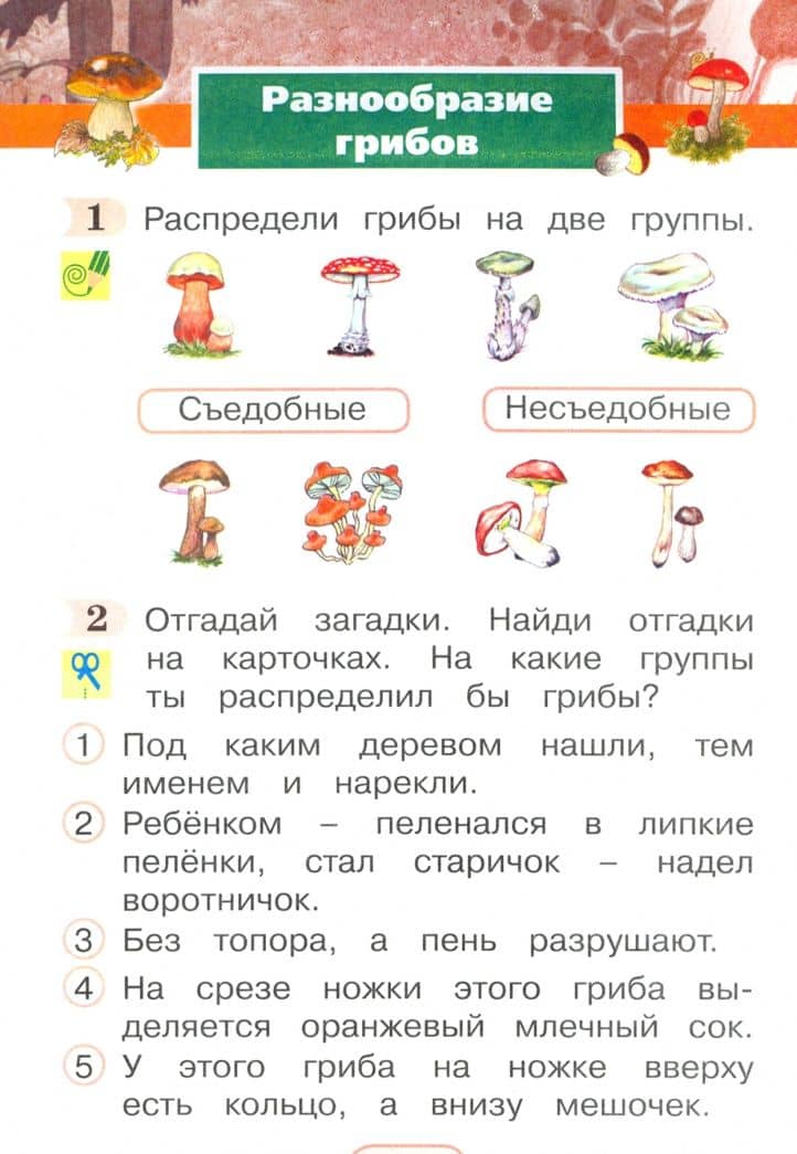 Окружающий мир. 1 класс. Рабочая тетрадь. В 2-х частях. Часть 2. ФГОС — Виктор Дмитриевич Шилин (2)