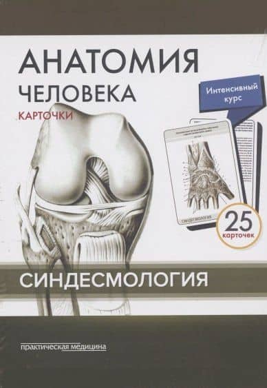 Анатомия человека. Синдесмология (25 карточек) — М.О. Тимофеева (2)