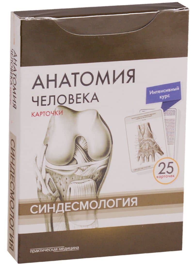 Анатомия человека. Синдесмология (25 карточек) — Михаил Романович Сапин