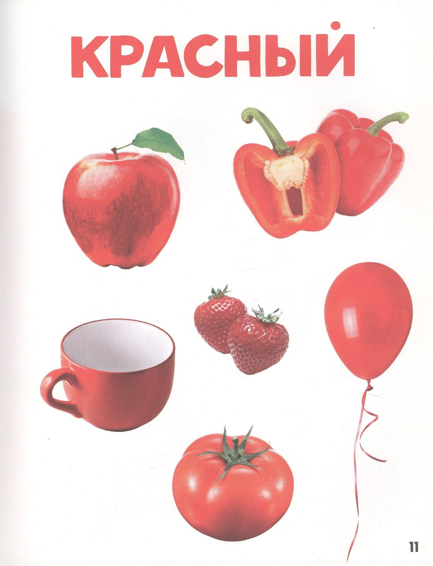 ГЛАВНАЯ КНИГА МАЛЫША матов.ламин.обл. выб.лак. офсет 203х257 (3)