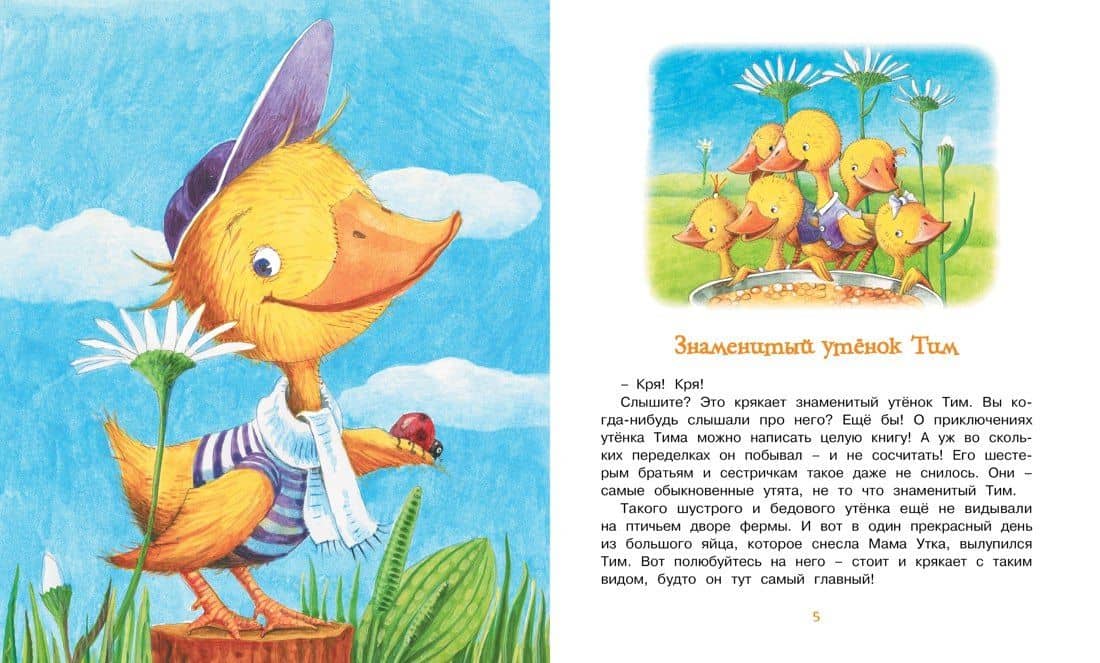 Знаменитый утёнок Тим — Энид Мэри Блайтон (2)