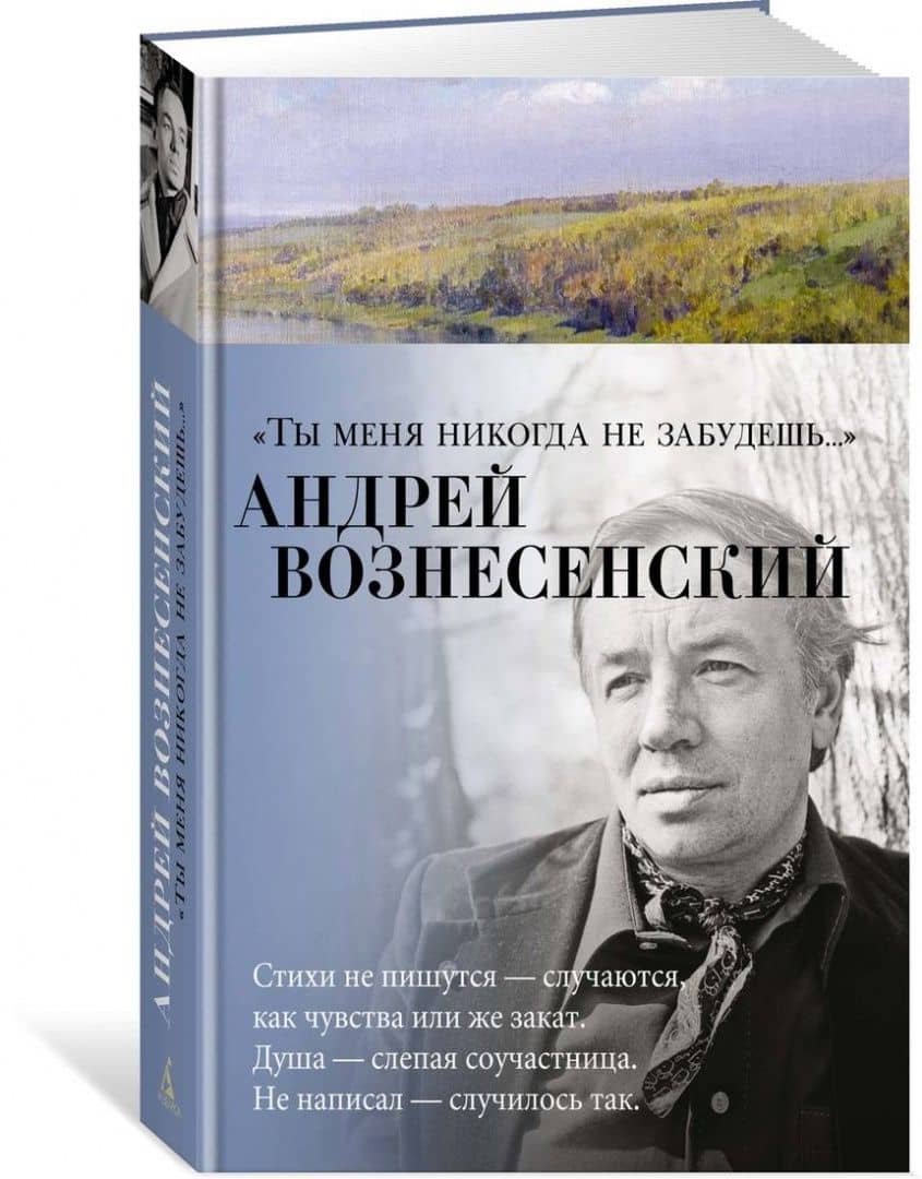 "Ты меня никогда не забудешь...". Стихотворения — Андрей Андреевич Вознесенский (2)