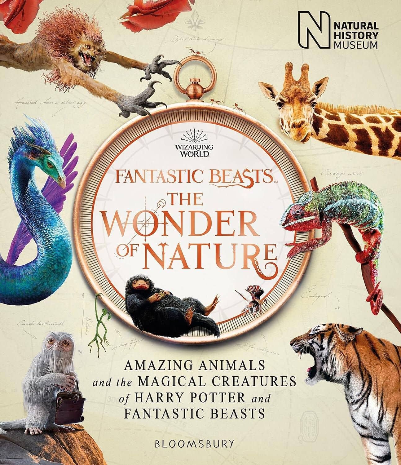 Fantastic Beasts: The Wonder of Nature Фантастические твари: чудо природы/ Книги на английском языке — Bronwyn O`Reilly