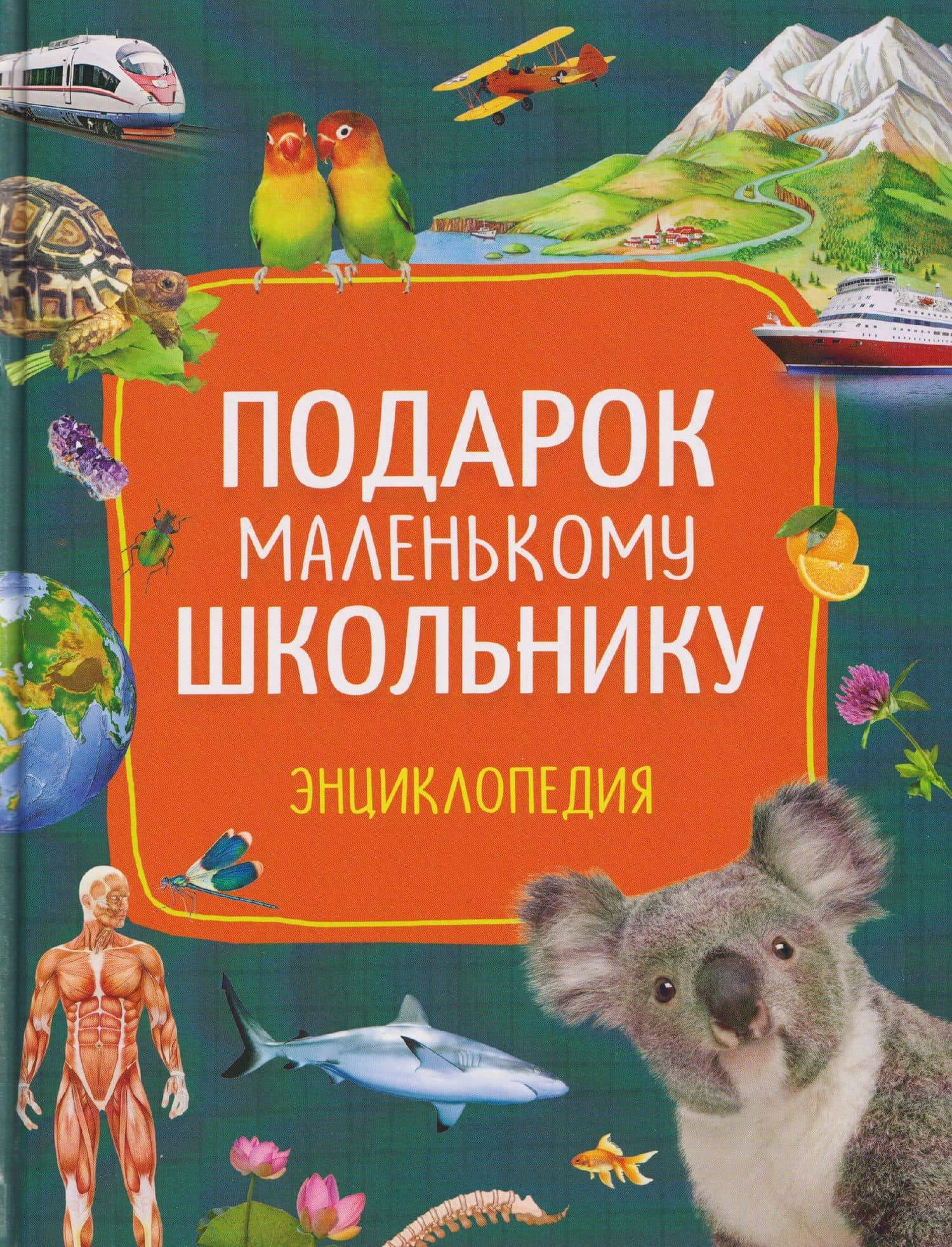 Подарок маленькому школьнику. Энциклопедия — Т.В. Редькина