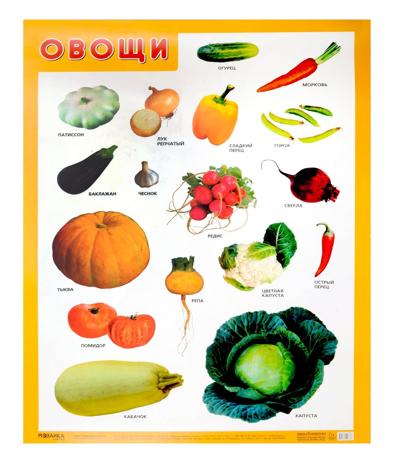 Развивающие плакаты. Овощи