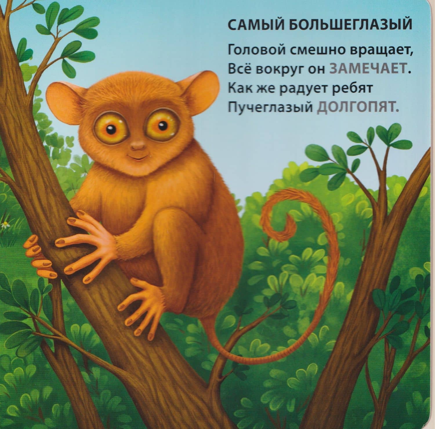 Самые-самые животные. Загадки-рифмы — Евгений Анатольевич Сосновский (3)