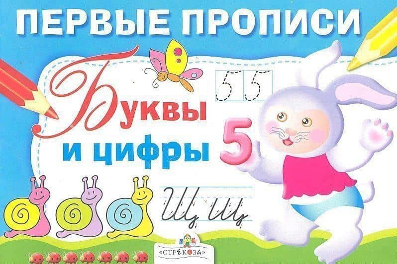 Первые прописи. Буквы и цифры — И. Попова
