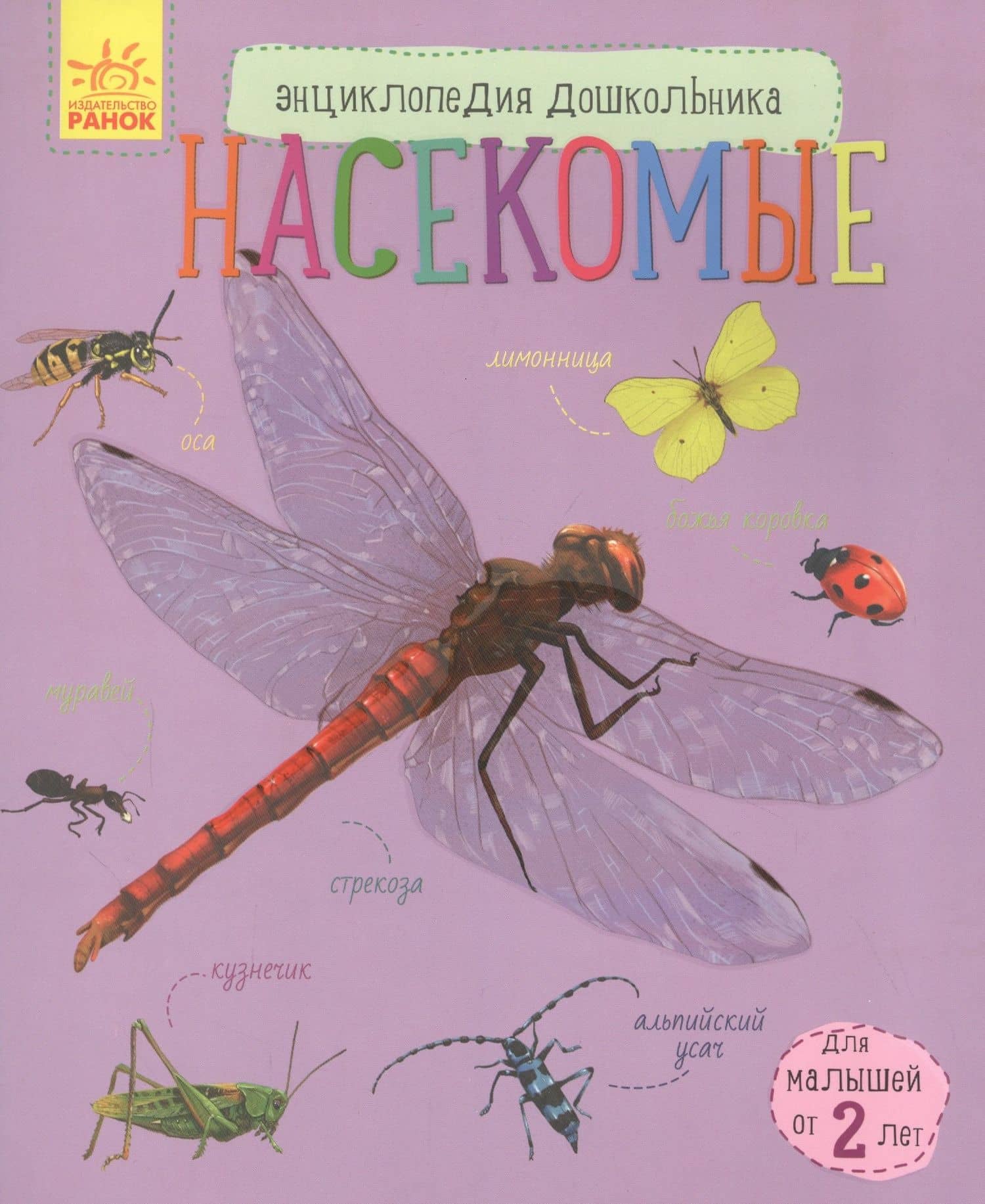Насекомые