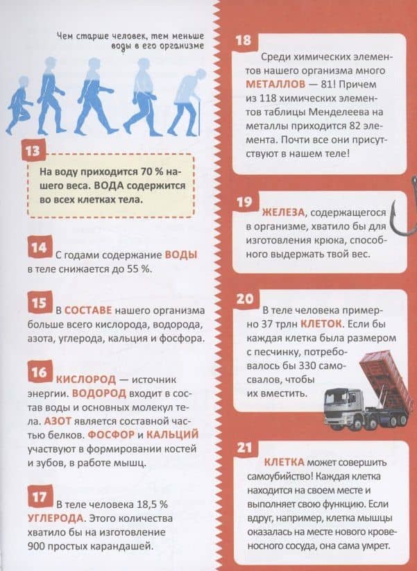 Человек. 250 фактов. Энциклопедия российского школьника (2)