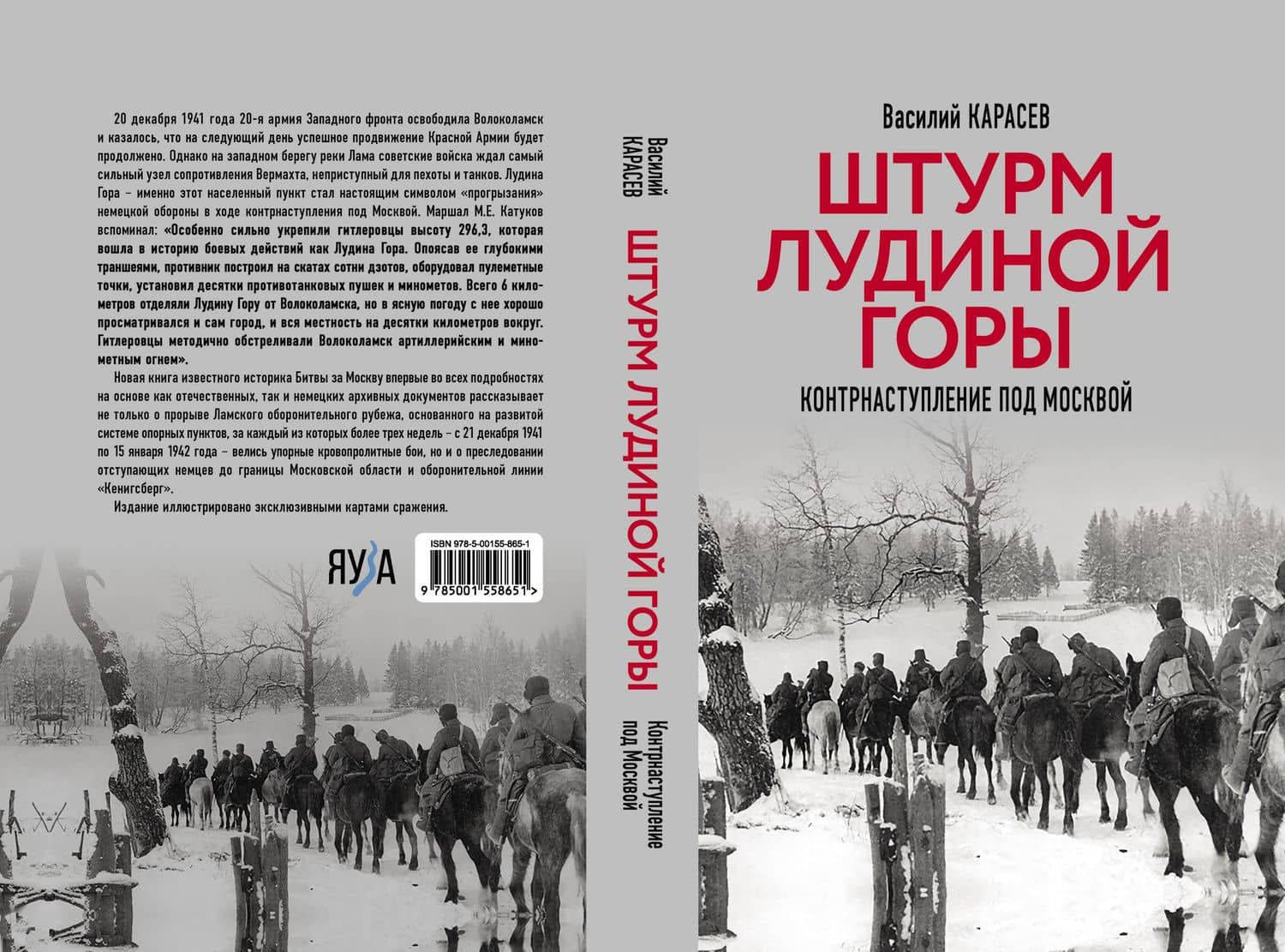 Штурм Лудиной горы. Контрнаступление под Москвой — Василий Степанович Карасев (3)