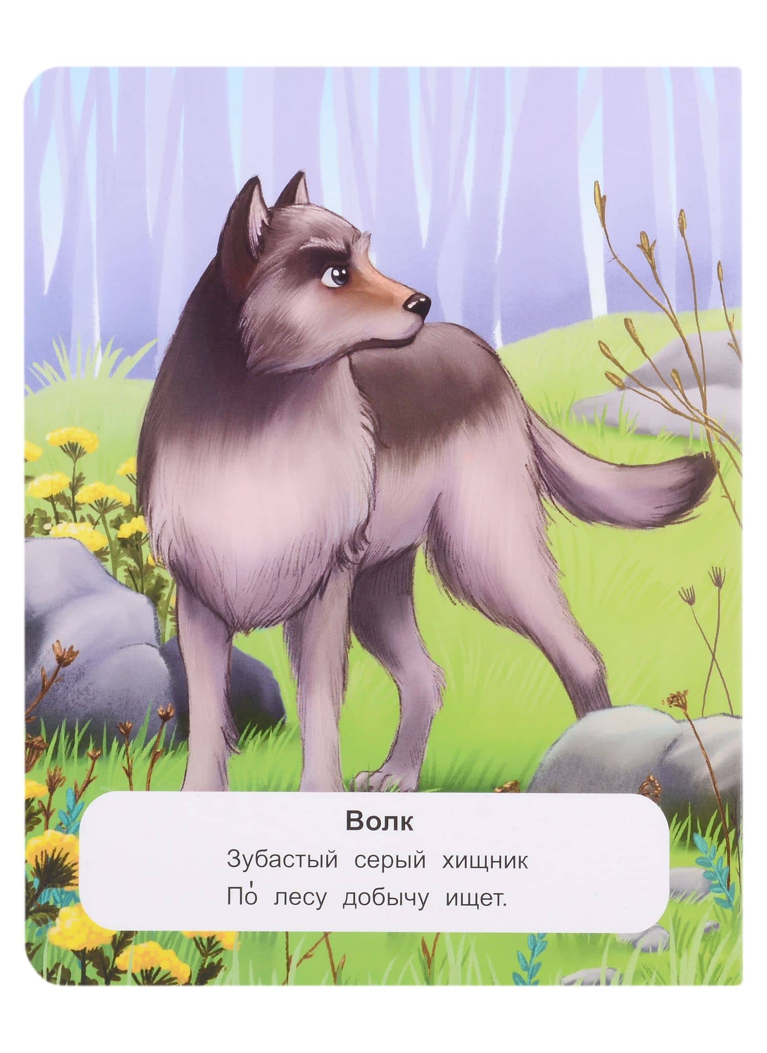 Лесные животные: стихи — Кристина Хомякова (2)
