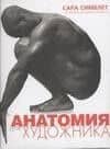 Анатомия для художников