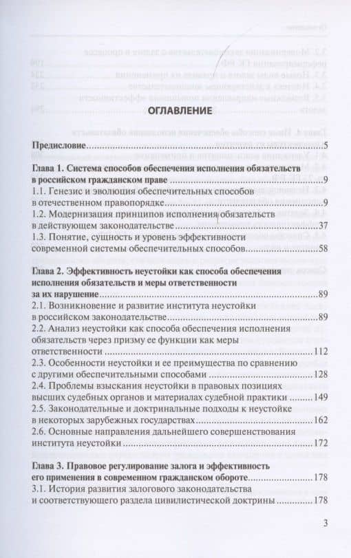 Обеспечение исполнения обязательств: история, современность и перспективы развития. Монография — Владимир Васильевич Зайцев (2)