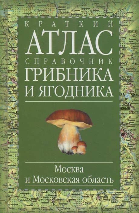 Краткий атлас-справочник грибника и ягодника Москва и Московская область. Огуреева В. (Аст) (2)