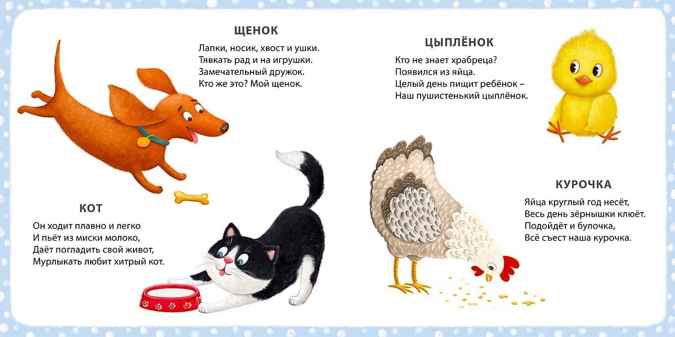 Книга на картоне. Мои первые картинки и стихи. Животные (2)