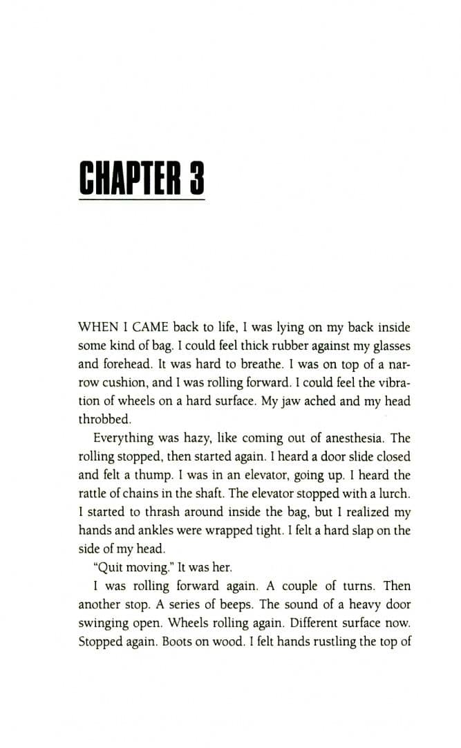The Perfect Assassin — Brian Sitts (2)