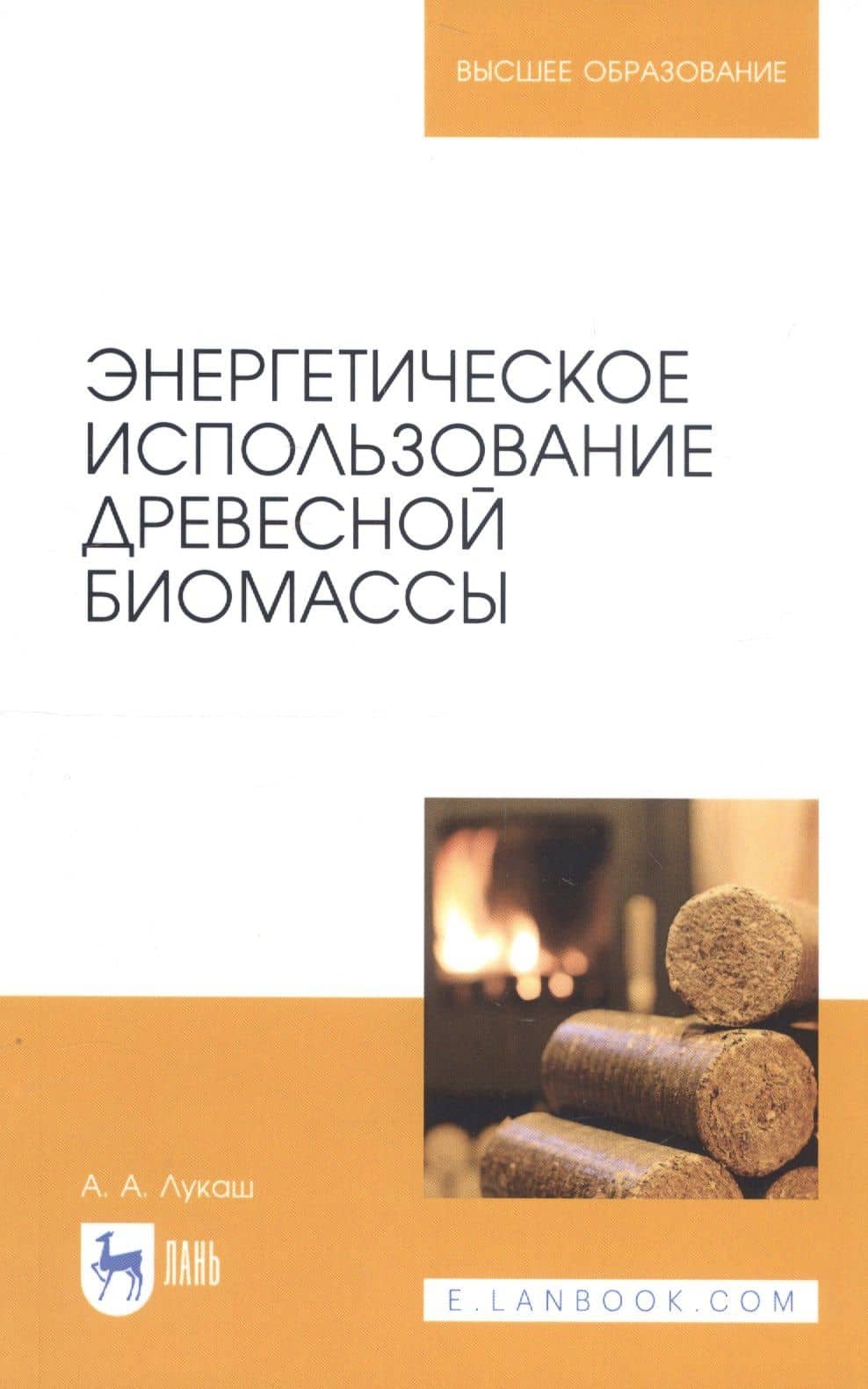 Энергетическое использование древесной биомассы. Учебное пособие