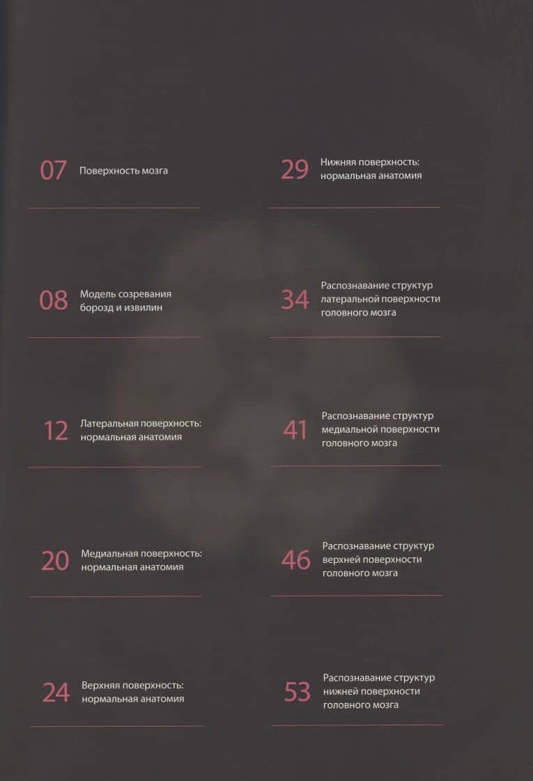 Атлас нормальной анатомии поверхности головного мозга при МР-томографии — Вадим Васильевич Мочалов (3)