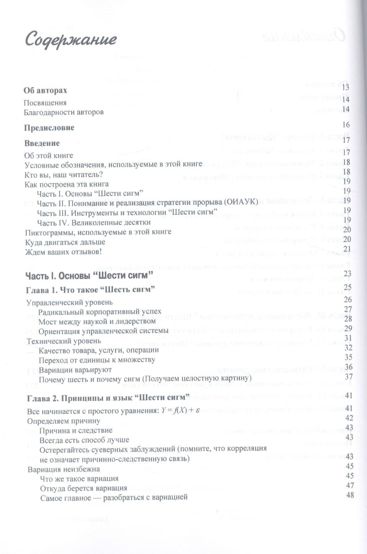 Шесть сигм для чайников — Брюс Дэйвид Вильямс (2)