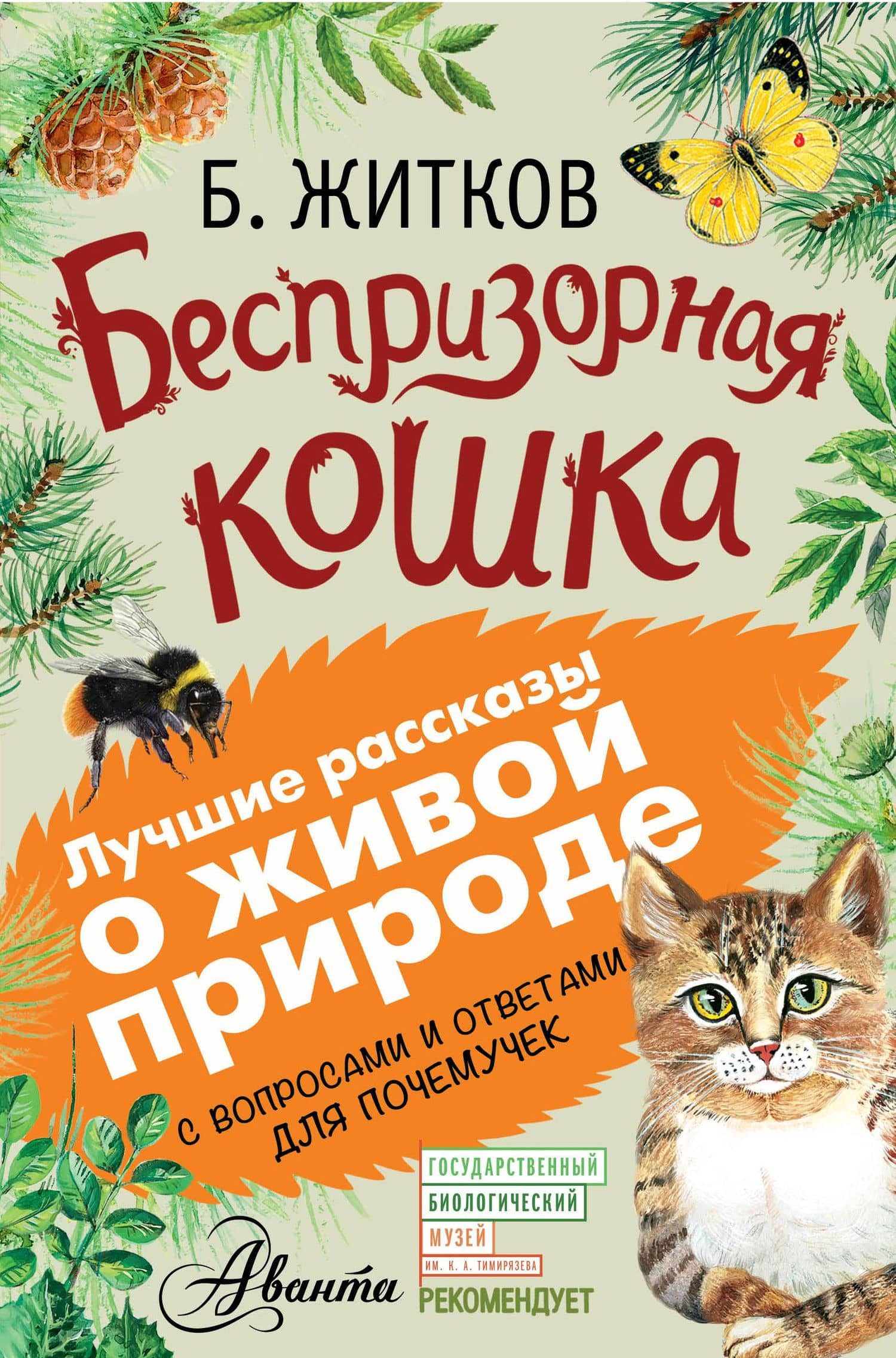 Обложка книги