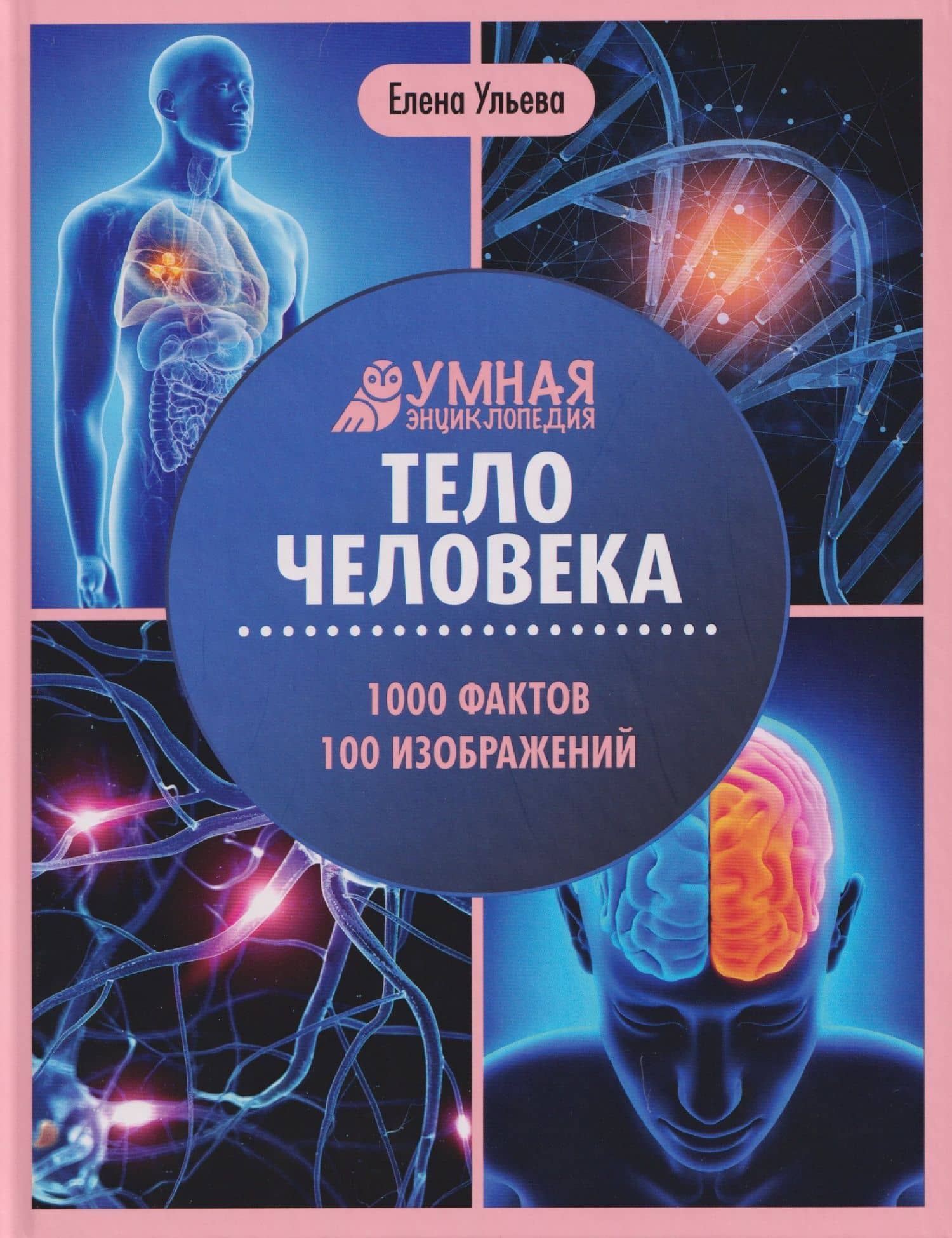 Тело человека: энциклопедия — Елена Александровна Ульева
