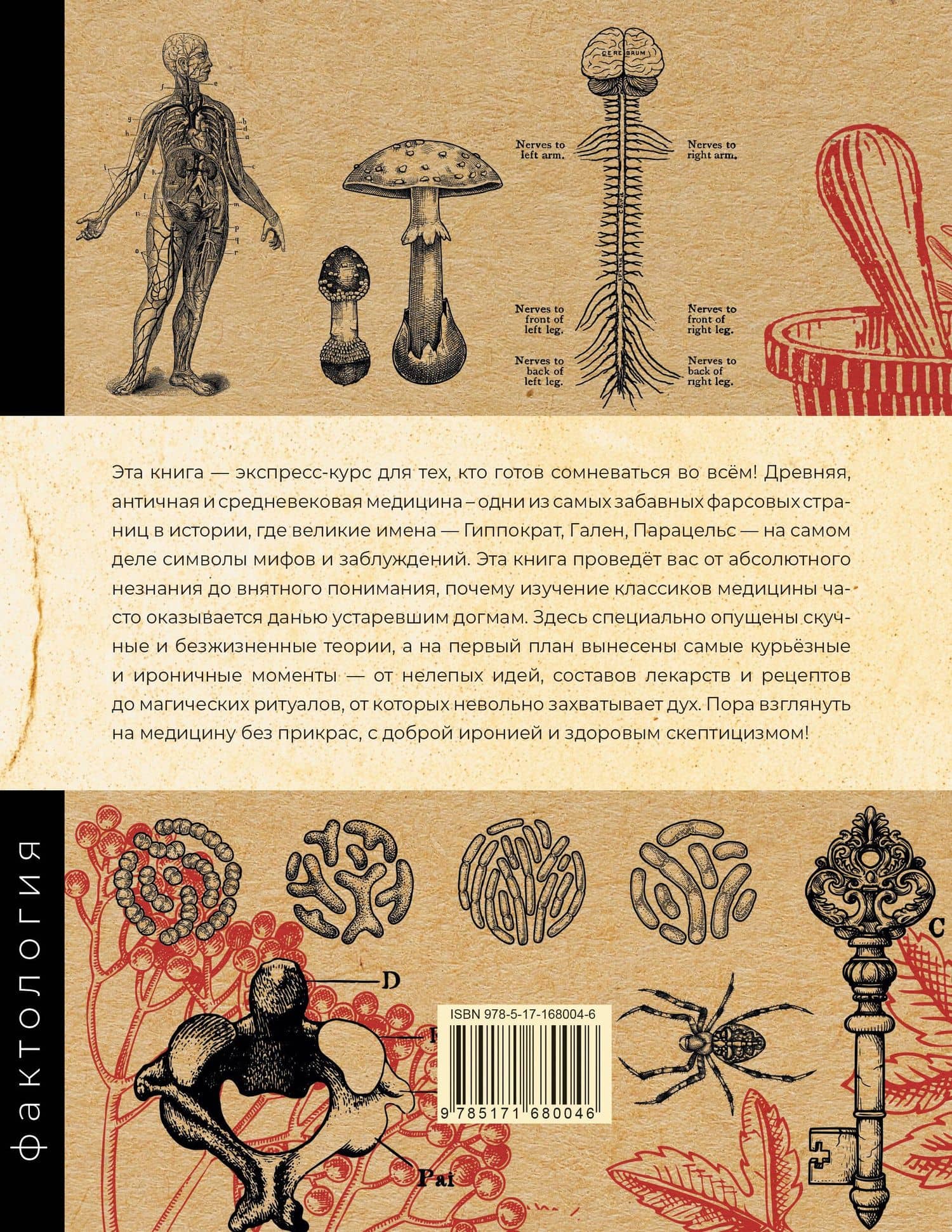 Основы медицины, о которых пора забыть — Михаил Александрович Глухарев (2)