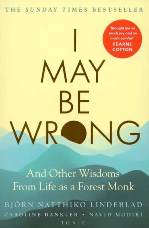 I May Be Wrong — Navid Modiri