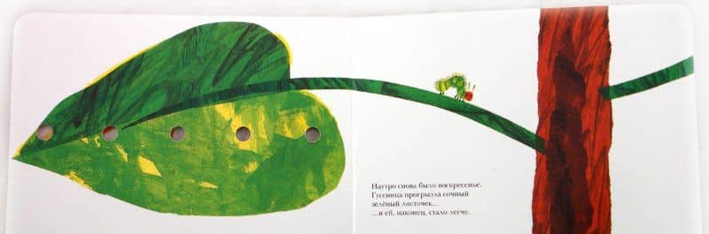 Очень голодная гусеница — Эрик Карл (2)